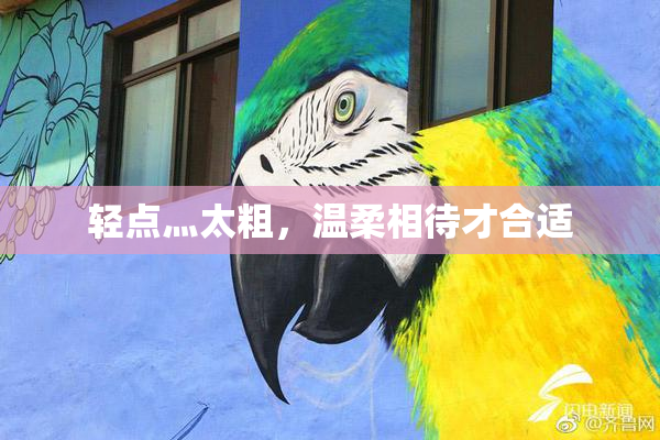 轻点灬太粗，温柔相待才合适