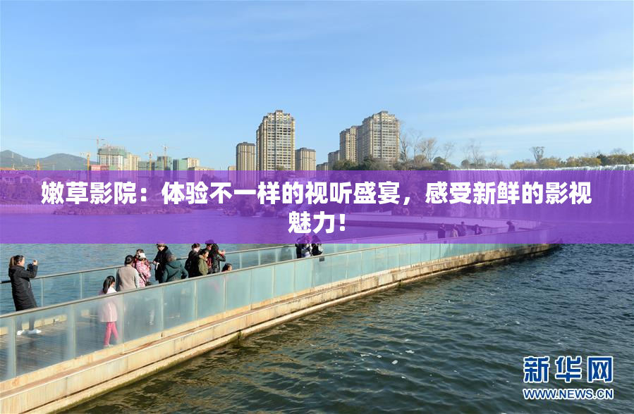 嫩草影院：体验不一样的视听盛宴，感受新鲜的影视魅力！