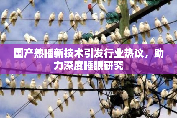 国产熟睡新技术引发行业热议，助力深度睡眠研究
