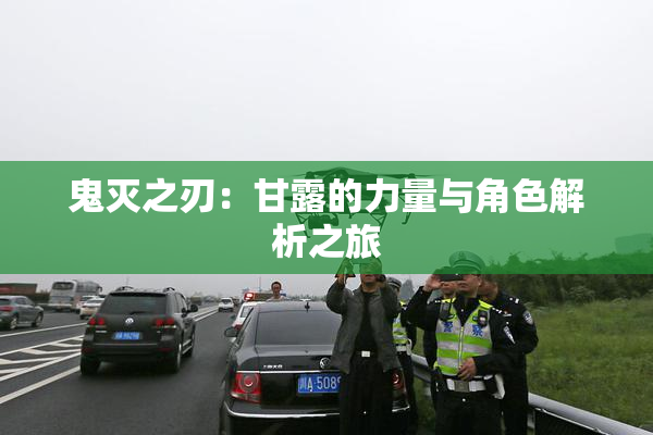 鬼灭之刃：甘露的力量与角色解析之旅