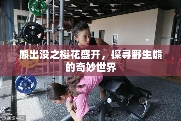 熊出没之樱花盛开，探寻野生熊的奇妙世界