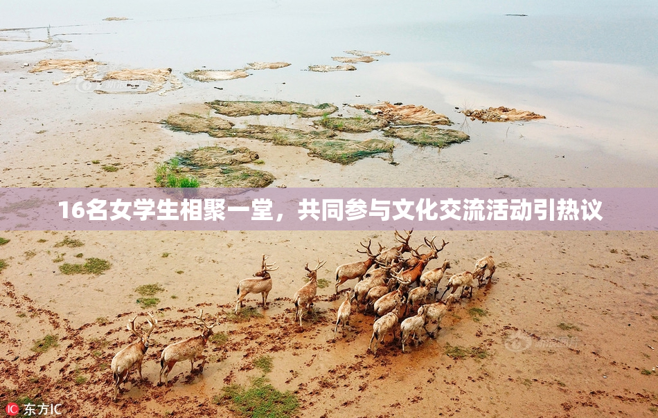 16名女学生相聚一堂，共同参与文化交流活动引热议