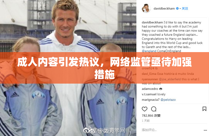 成人内容引发热议，网络监管亟待加强措施