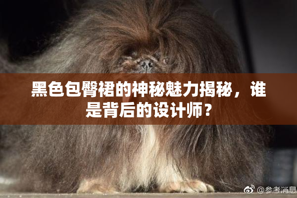黑色包臀裙的神秘魅力揭秘，谁是背后的设计师？