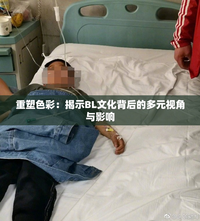 重塑色彩：揭示BL文化背后的多元视角与影响