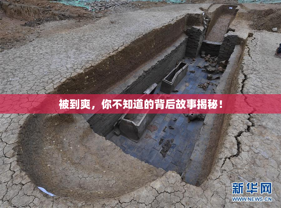 被到爽，你不知道的背后故事揭秘！