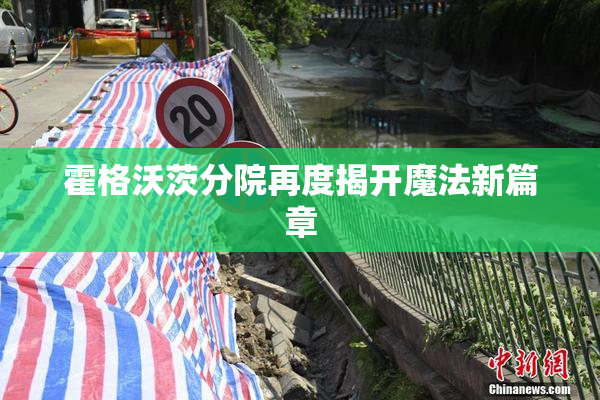 霍格沃茨分院再度揭开魔法新篇章