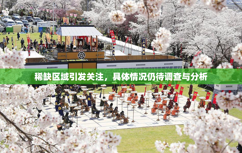 稀缺区域引发关注，具体情况仍待调查与分析