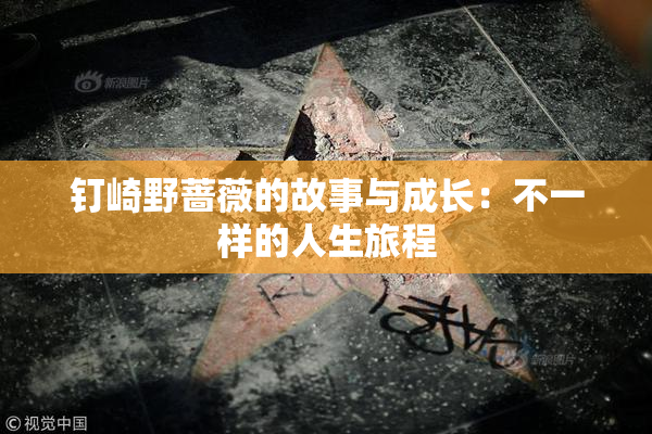 钉崎野蔷薇的故事与成长：不一样的人生旅程