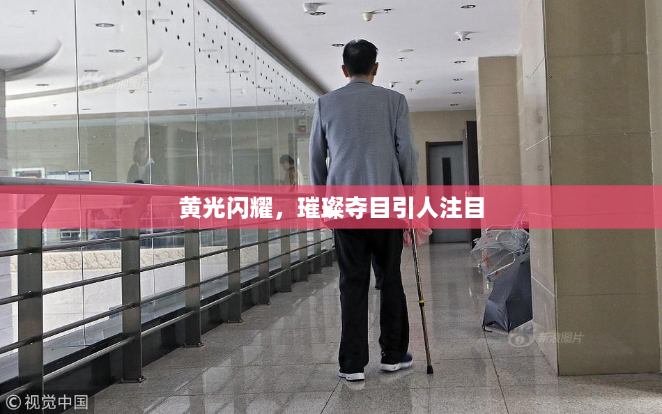 黄光闪耀，璀璨夺目引人注目