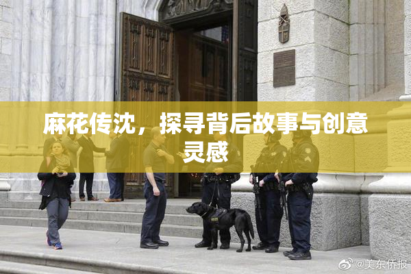 麻花传沈，探寻背后故事与创意灵感