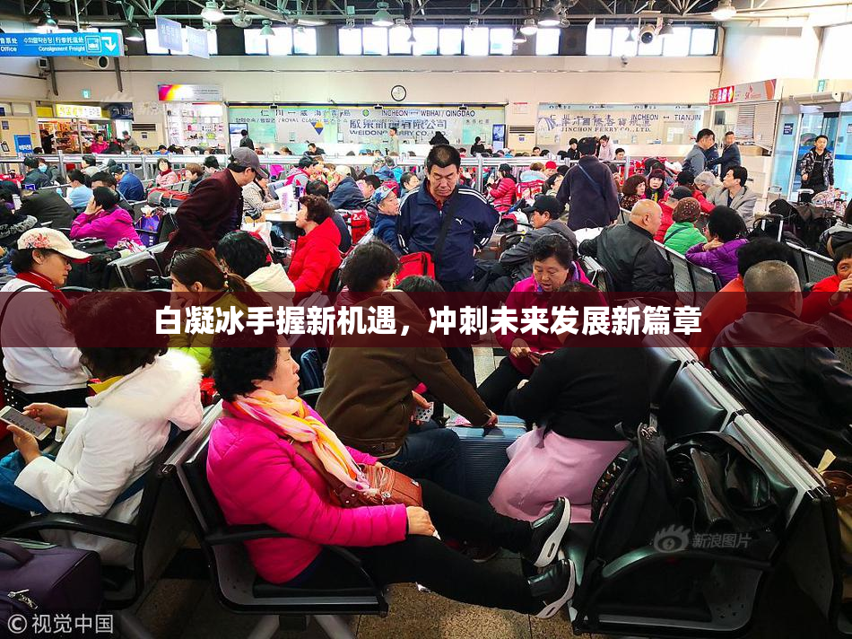白凝冰手握新机遇，冲刺未来发展新篇章