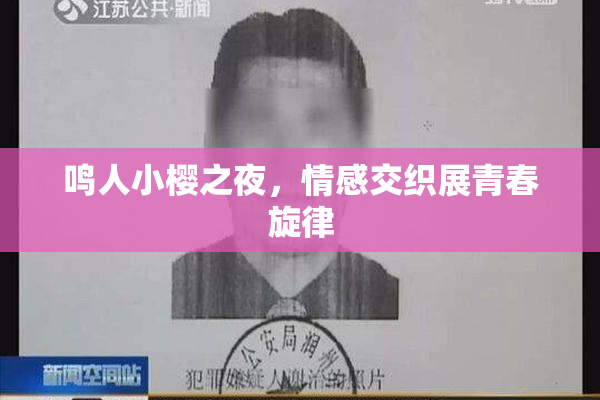 鸣人小樱之夜，情感交织展青春旋律