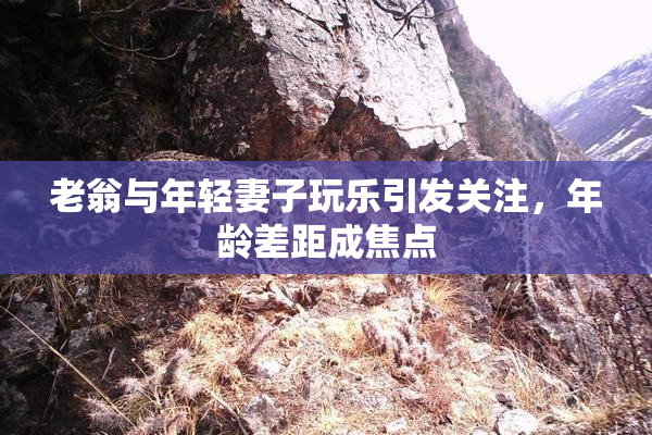 老翁与年轻妻子玩乐引发关注，年龄差距成焦点