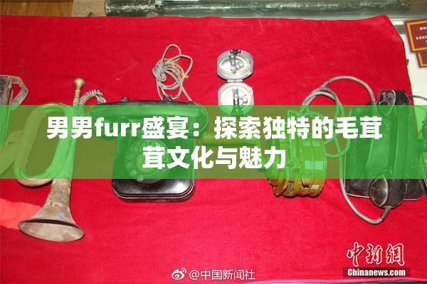 男男furr盛宴：探索独特的毛茸茸文化与魅力