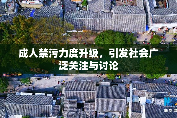 成人禁污力度升级，引发社会广泛关注与讨论