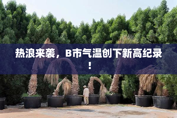 热浪来袭，B市气温创下新高纪录！
