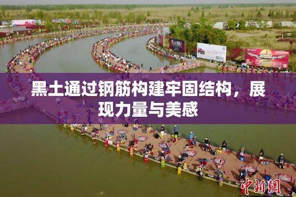 黑土通过钢筋构建牢固结构，展现力量与美感