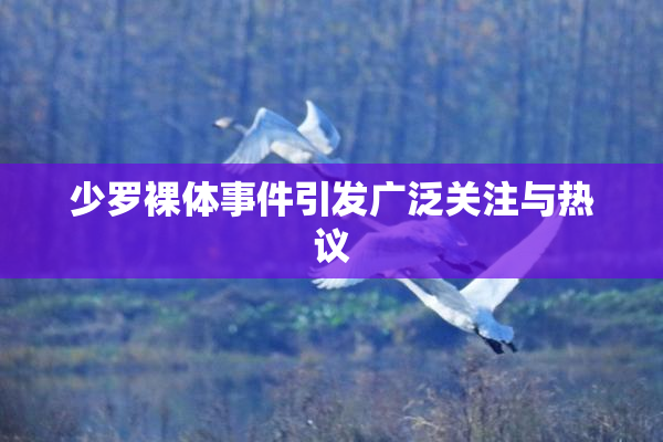 少罗裸体事件引发广泛关注与热议