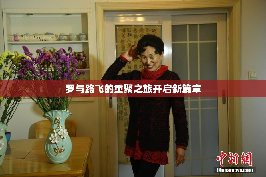 罗与路飞的重聚之旅开启新篇章
