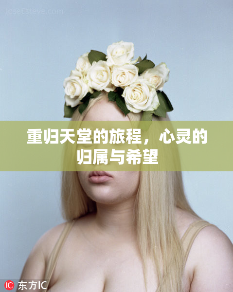 重归天堂的旅程，心灵的归属与希望