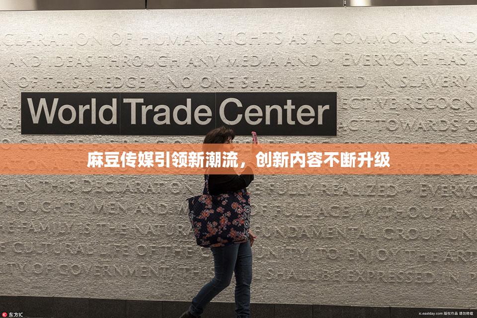 麻豆传媒引领新潮流，创新内容不断升级