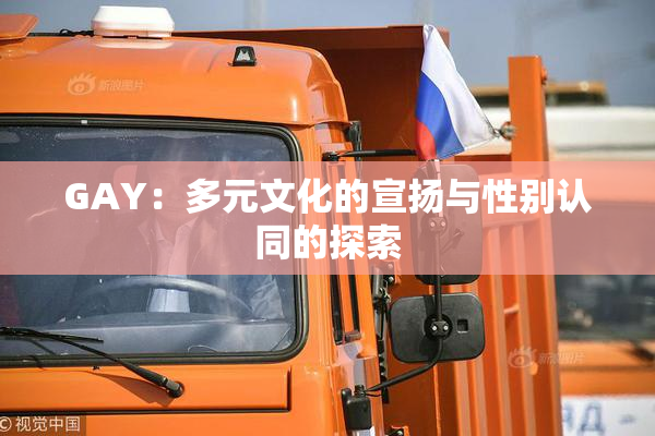 GAY：多元文化的宣扬与性别认同的探索
