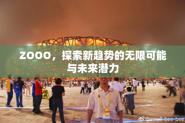 ZOOO，探索新趋势的无限可能与未来潜力