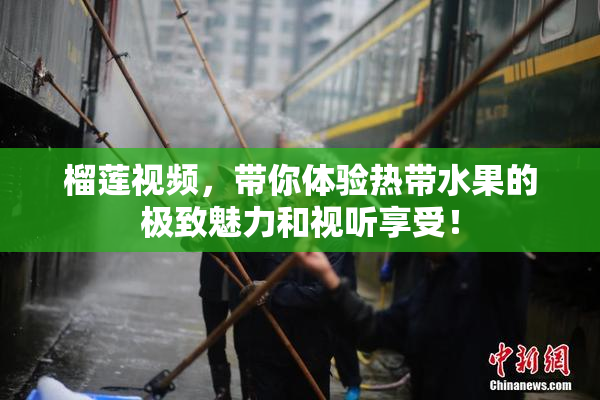 榴莲视频，带你体验热带水果的极致魅力和视听享受！