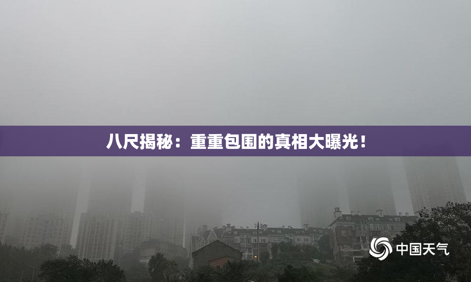 八尺揭秘：重重包围的真相大曝光！