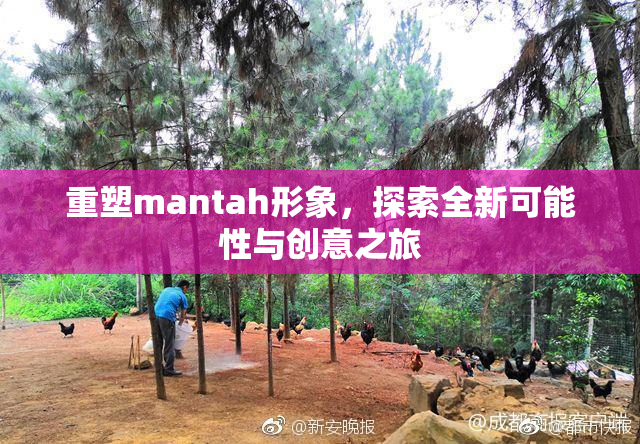 重塑mantah形象，探索全新可能性与创意之旅