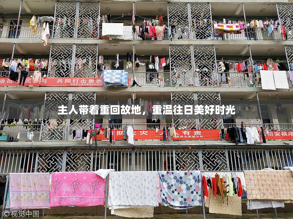 主人带着重回故地，重温往日美好时光