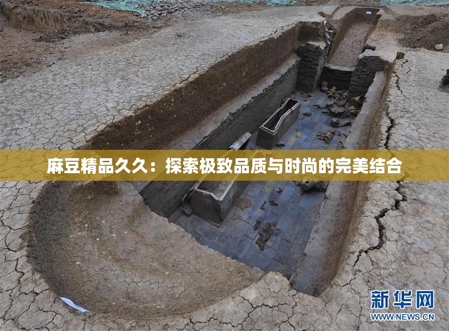 麻豆精品久久：探索极致品质与时尚的完美结合