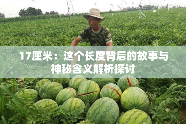 17厘米：这个长度背后的故事与神秘含义解析探讨
