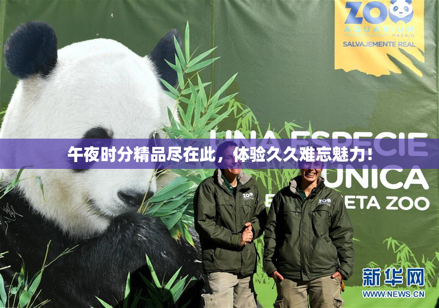 午夜时分精品尽在此，体验久久难忘魅力！