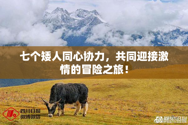 七个矮人同心协力，共同迎接激情的冒险之旅！