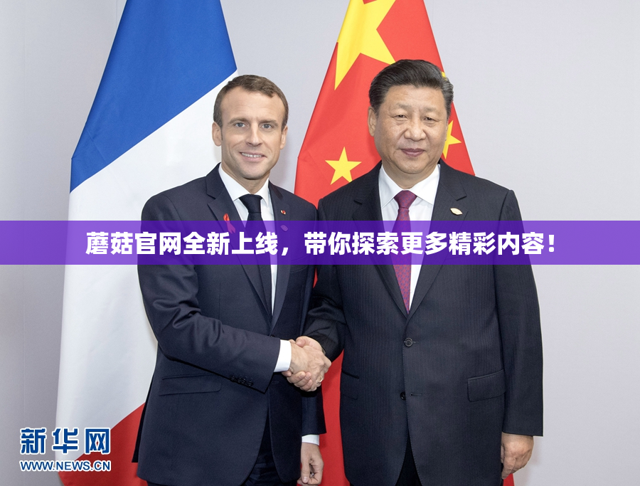 蘑菇官网全新上线，带你探索更多精彩内容！