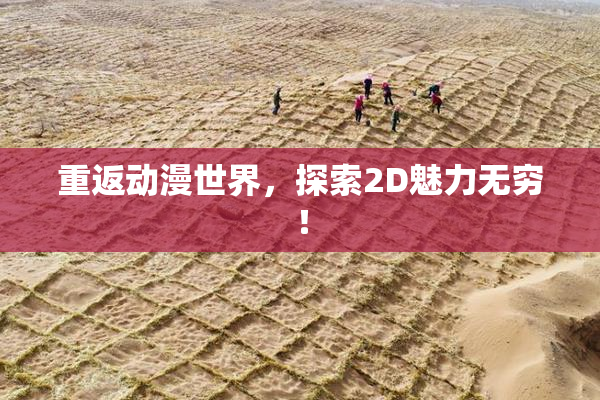 重返动漫世界，探索2D魅力无穷！