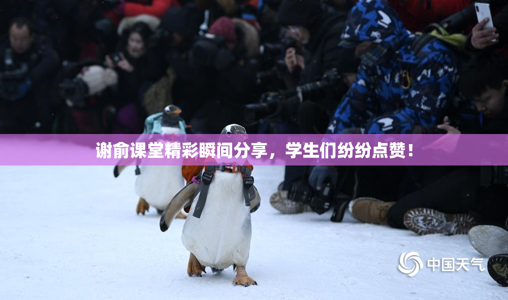 谢俞课堂精彩瞬间分享，学生们纷纷点赞！