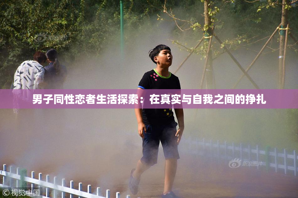 男子同性恋者生活探索：在真实与自我之间的挣扎