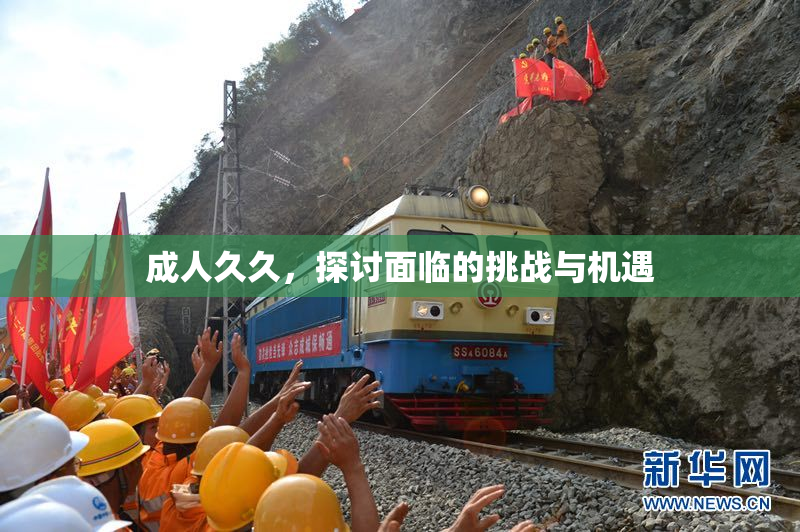 成人久久，探讨面临的挑战与机遇