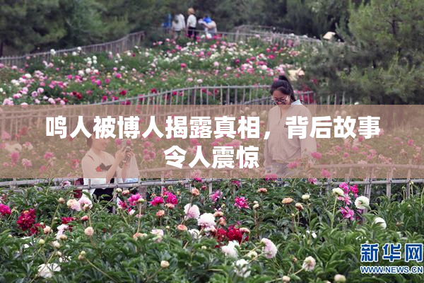 鸣人被博人揭露真相，背后故事令人震惊
