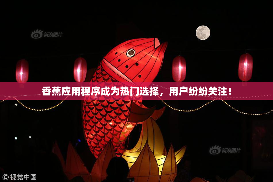 香蕉应用程序成为热门选择，用户纷纷关注！