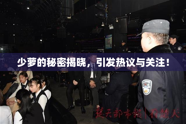 少萝的秘密揭晓，引发热议与关注！