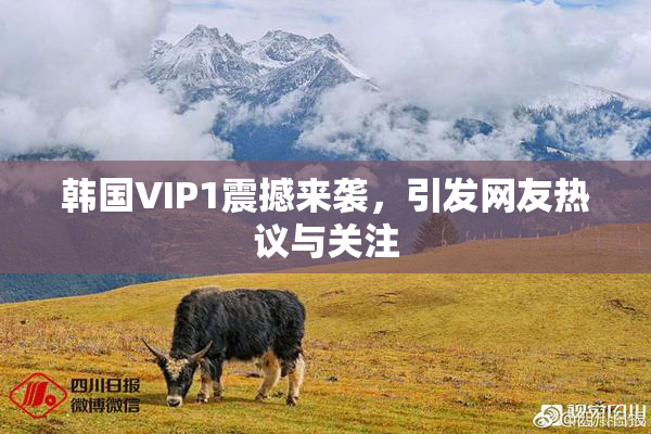 韩国VIP1震撼来袭，引发网友热议与关注