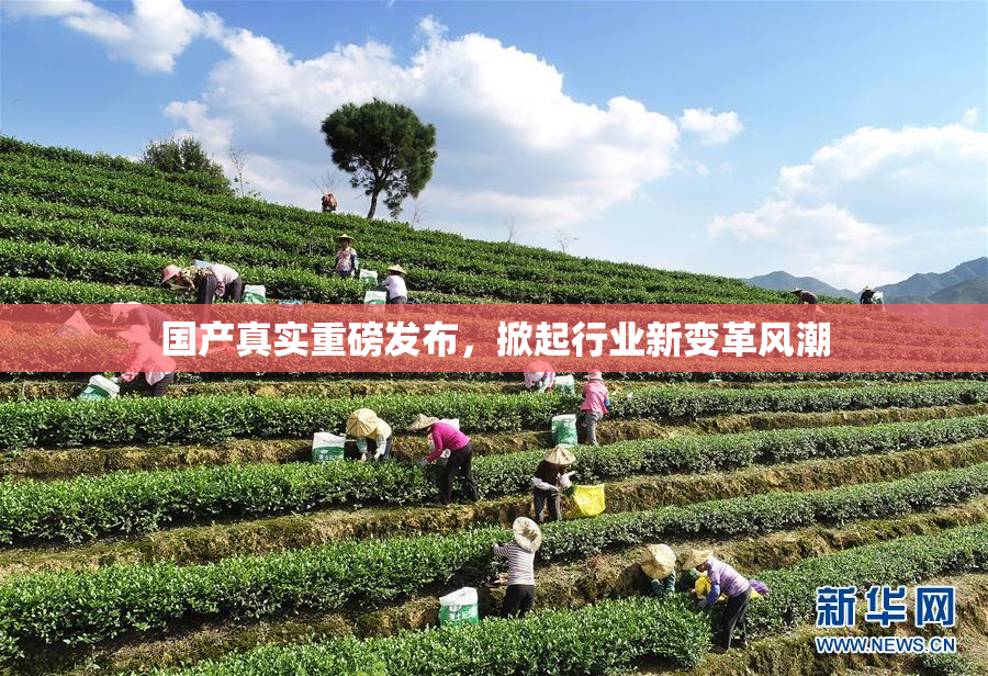 国产真实重磅发布，掀起行业新变革风潮