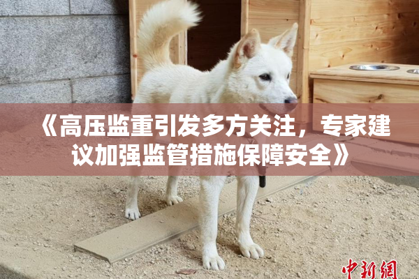 《高压监重引发多方关注，专家建议加强监管措施保障安全》