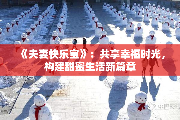 《夫妻快乐宝》：共享幸福时光，构建甜蜜生活新篇章