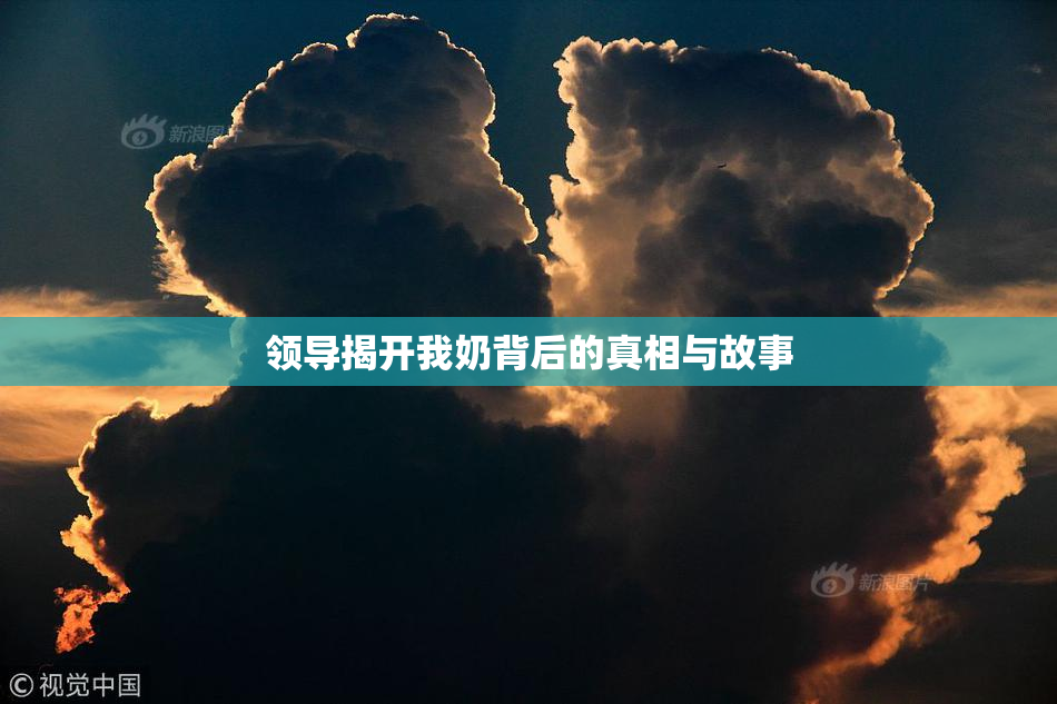 领导揭开我奶背后的真相与故事