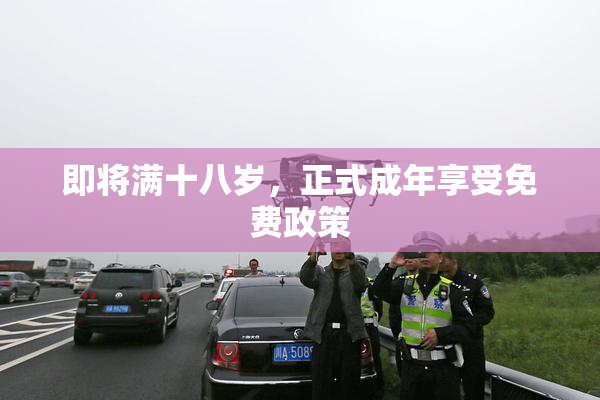 即将满十八岁，正式成年享受免费政策